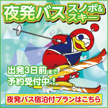 ビッグホリデー 宿泊付バスで行く 格安スキーツアー 激安スノボツアー 池袋 新宿 東京 大宮発など