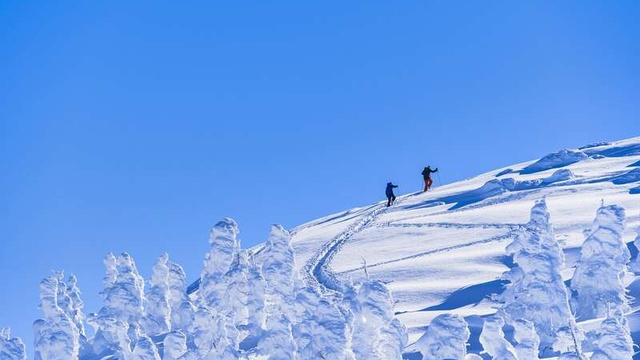 蔵王温泉スキー場の樹氷とゲレンデ