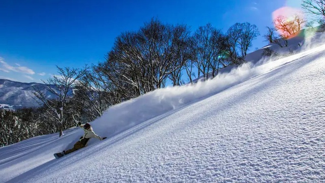 戸狩温泉スキー場の林間コースを滑るスキーヤー
