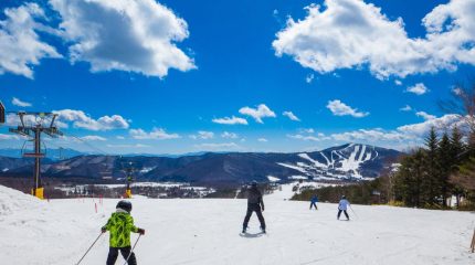 青空の下でゲレンデを滑る親子のスキーヤー