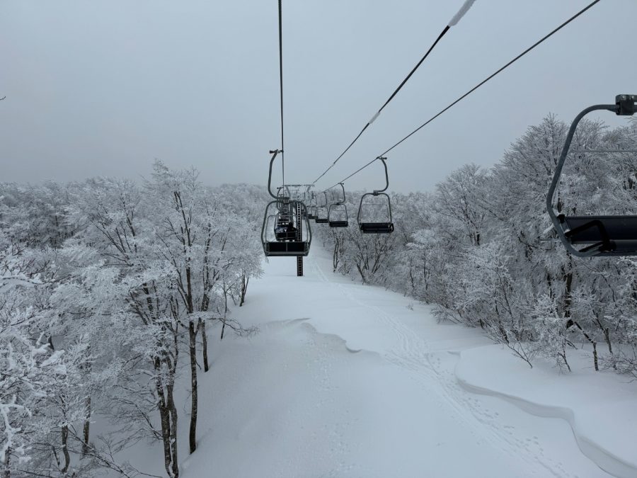 雪をかぶった木々の間を通るチェアリフト